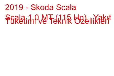 2019 - Skoda Scala
Scala 1.0 MT (115 Hp) Yakıt Tüketimi ve Teknik Özellikleri