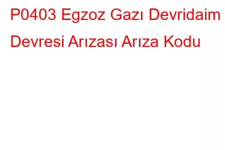 P0403 Egzoz Gazı Devridaim Devresi Arızası Arıza Kodu