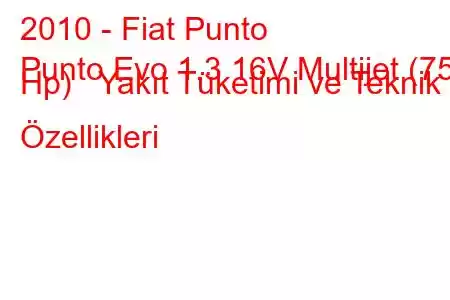 2010 - Fiat Punto
Punto Evo 1.3 16V Multijet (75 Hp) Yakıt Tüketimi ve Teknik Özellikleri