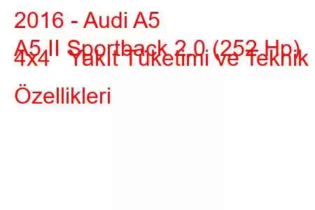 2016 - Audi A5
A5 II Sportback 2.0 (252 Hp) 4x4 Yakıt Tüketimi ve Teknik Özellikleri