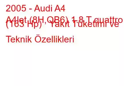 2005 - Audi A4
A4let (8H,QB6) 1.8 T quattro (163 Hp) Yakıt Tüketimi ve Teknik Özellikleri