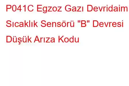 P041C Egzoz Gazı Devridaim Sıcaklık Sensörü 