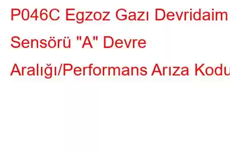 P046C Egzoz Gazı Devridaim Sensörü 