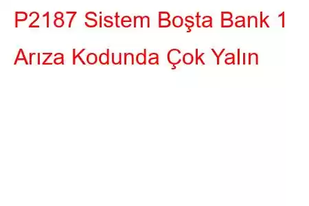 P2187 Sistem Boşta Bank 1 Arıza Kodunda Çok Yalın