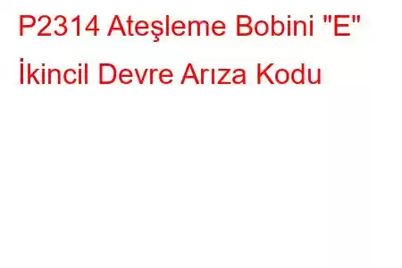 P2314 Ateşleme Bobini 