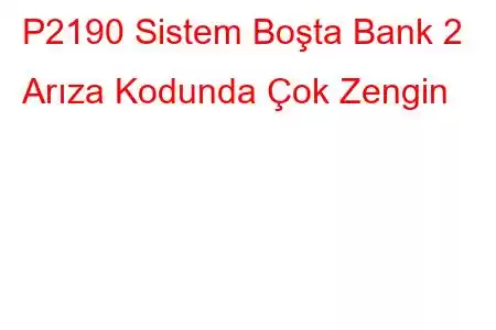 P2190 Sistem Boşta Bank 2 Arıza Kodunda Çok Zengin