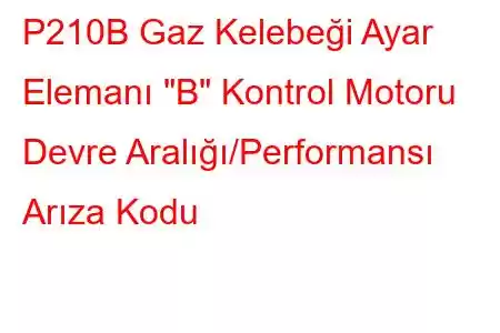 P210B Gaz Kelebeği Ayar Elemanı 