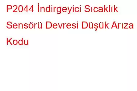 P2044 İndirgeyici Sıcaklık Sensörü Devresi Düşük Arıza Kodu