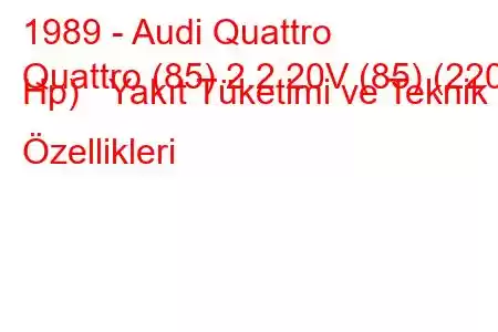 1989 - Audi Quattro
Quattro (85) 2.2 20V (85) (220 Hp) Yakıt Tüketimi ve Teknik Özellikleri