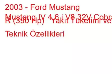 2003 - Ford Mustang
Mustang IV 4.6 i V8 32V Cobra R (390 Hp) Yakıt Tüketimi ve Teknik Özellikleri