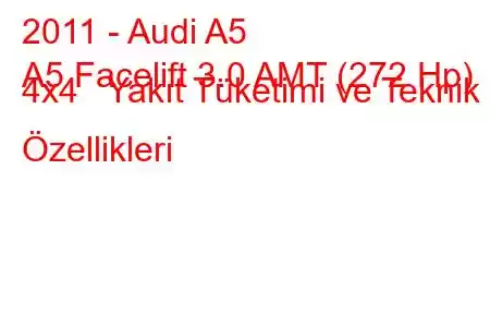 2011 - Audi A5
A5 Facelift 3.0 AMT (272 Hp) 4x4 Yakıt Tüketimi ve Teknik Özellikleri