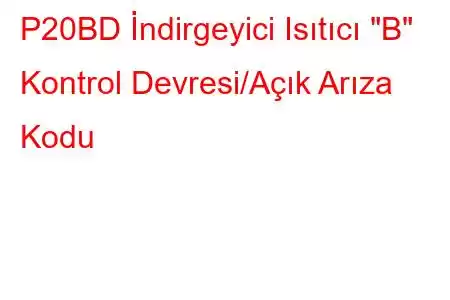 P20BD İndirgeyici Isıtıcı 