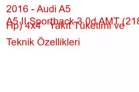 2016 - Audi A5
A5 II Sportback 3.0d AMT (218 Hp) 4x4 Yakıt Tüketimi ve Teknik Özellikleri