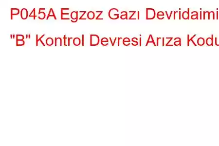 P045A Egzoz Gazı Devridaimi 