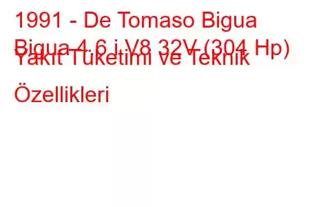 1991 - De Tomaso Bigua
Bigua 4.6 i V8 32V (304 Hp) Yakıt Tüketimi ve Teknik Özellikleri