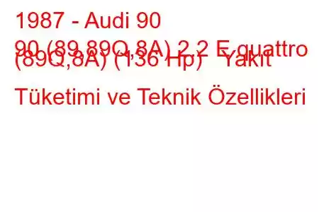 1987 - Audi 90
90 (89,89Q,8A) 2.2 E quattro (89Q,8A) (136 Hp) Yakıt Tüketimi ve Teknik Özellikleri