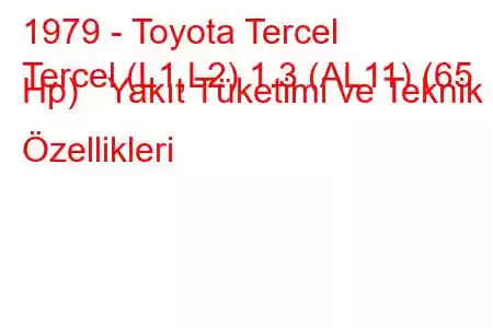 1979 - Toyota Tercel
Tercel (L1,L2) 1.3 (AL11) (65 Hp) Yakıt Tüketimi ve Teknik Özellikleri