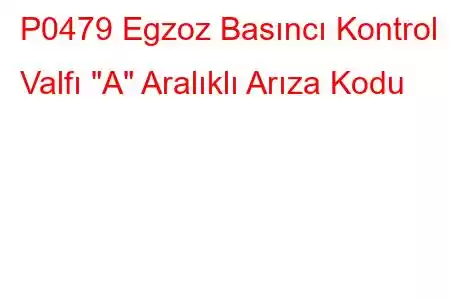 P0479 Egzoz Basıncı Kontrol Valfı 