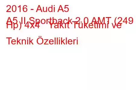 2016 - Audi A5
A5 II Sportback 2.0 AMT (249 Hp) 4x4 Yakıt Tüketimi ve Teknik Özellikleri