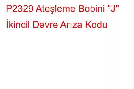 P2329 Ateşleme Bobini 