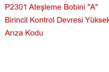 P2301 Ateşleme Bobini 