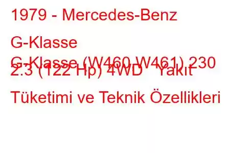 1979 - Mercedes-Benz G-Klasse
G-Klasse (W460,W461) 230 2.3 (122 Hp) 4WD Yakıt Tüketimi ve Teknik Özellikleri