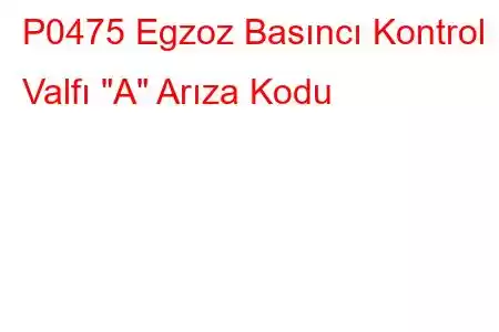 P0475 Egzoz Basıncı Kontrol Valfı 