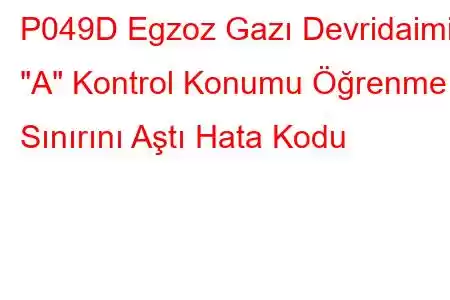 P049D Egzoz Gazı Devridaimi 