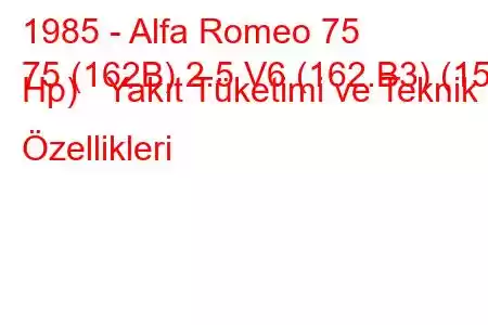 1985 - Alfa Romeo 75
75 (162B) 2.5 V6 (162.B3) (156 Hp) Yakıt Tüketimi ve Teknik Özellikleri