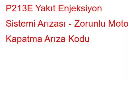 P213E Yakıt Enjeksiyon Sistemi Arızası - Zorunlu Motor Kapatma Arıza Kodu