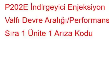 P202E İndirgeyici Enjeksiyon Valfı Devre Aralığı/Performans Sıra 1 Ünite 1 Arıza Kodu