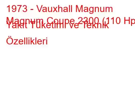 1973 - Vauxhall Magnum
Magnum Coupe 2300 (110 Hp) Yakıt Tüketimi ve Teknik Özellikleri