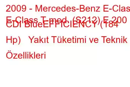 2009 - Mercedes-Benz E-Class
E-Class T-mod. (S212) E 200 CDI BlueEFFICIENCY (184 Hp) Yakıt Tüketimi ve Teknik Özellikleri