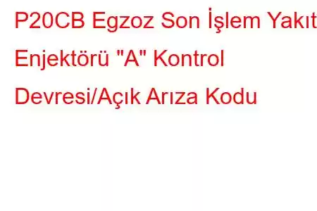 P20CB Egzoz Son İşlem Yakıt Enjektörü 