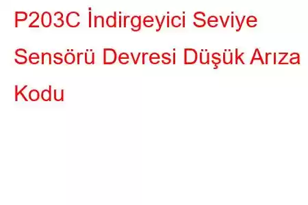 P203C İndirgeyici Seviye Sensörü Devresi Düşük Arıza Kodu