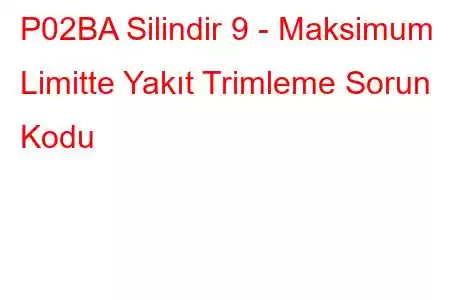 P02BA Silindir 9 - Maksimum Limitte Yakıt Trimleme Sorun Kodu