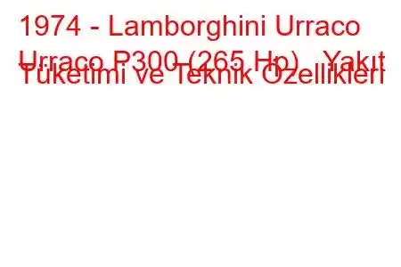 1974 - Lamborghini Urraco
Urraco P300 (265 Hp) Yakıt Tüketimi ve Teknik Özellikleri