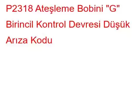 P2318 Ateşleme Bobini 