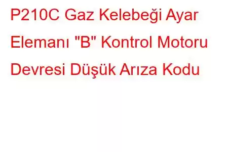 P210C Gaz Kelebeği Ayar Elemanı 