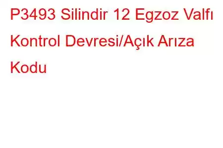 P3493 Silindir 12 Egzoz Valfı Kontrol Devresi/Açık Arıza Kodu