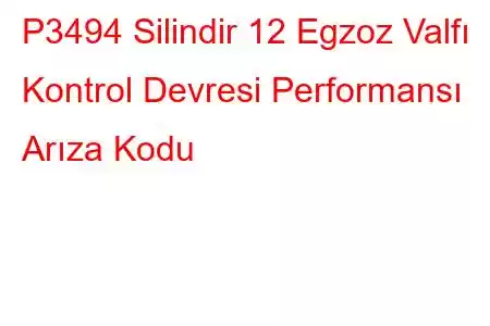 P3494 Silindir 12 Egzoz Valfı Kontrol Devresi Performansı Arıza Kodu