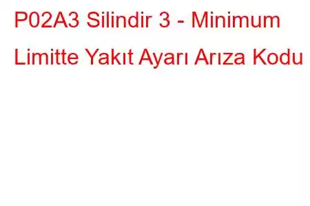 P02A3 Silindir 3 - Minimum Limitte Yakıt Ayarı Arıza Kodu