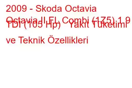 2009 - Skoda Octavia
Octavia II FL Combi (1Z5) 1.9 TDI (105 Hp) Yakıt Tüketimi ve Teknik Özellikleri