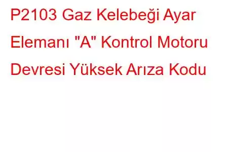 P2103 Gaz Kelebeği Ayar Elemanı 