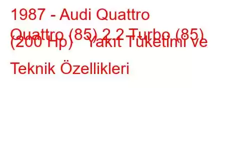 1987 - Audi Quattro
Quattro (85) 2.2 Turbo (85) (200 Hp) Yakıt Tüketimi ve Teknik Özellikleri