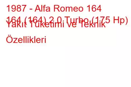 1987 - Alfa Romeo 164
164 (164) 2.0 Turbo (175 Hp) Yakıt Tüketimi ve Teknik Özellikleri