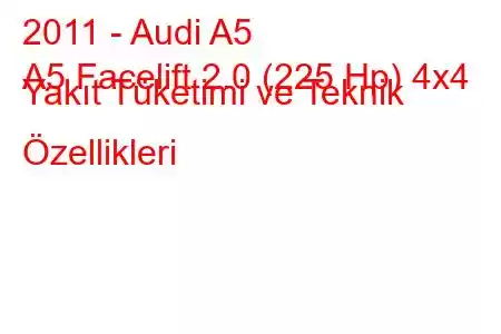 2011 - Audi A5
A5 Facelift 2.0 (225 Hp) 4x4 Yakıt Tüketimi ve Teknik Özellikleri