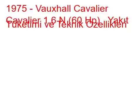 1975 - Vauxhall Cavalier
Cavalier 1.6 N (60 Hp) Yakıt Tüketimi ve Teknik Özellikleri