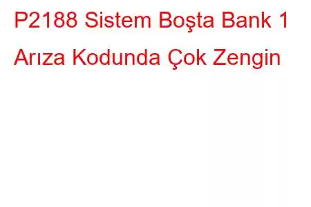 P2188 Sistem Boşta Bank 1 Arıza Kodunda Çok Zengin