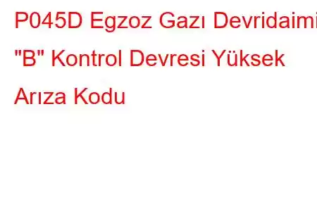 P045D Egzoz Gazı Devridaimi 